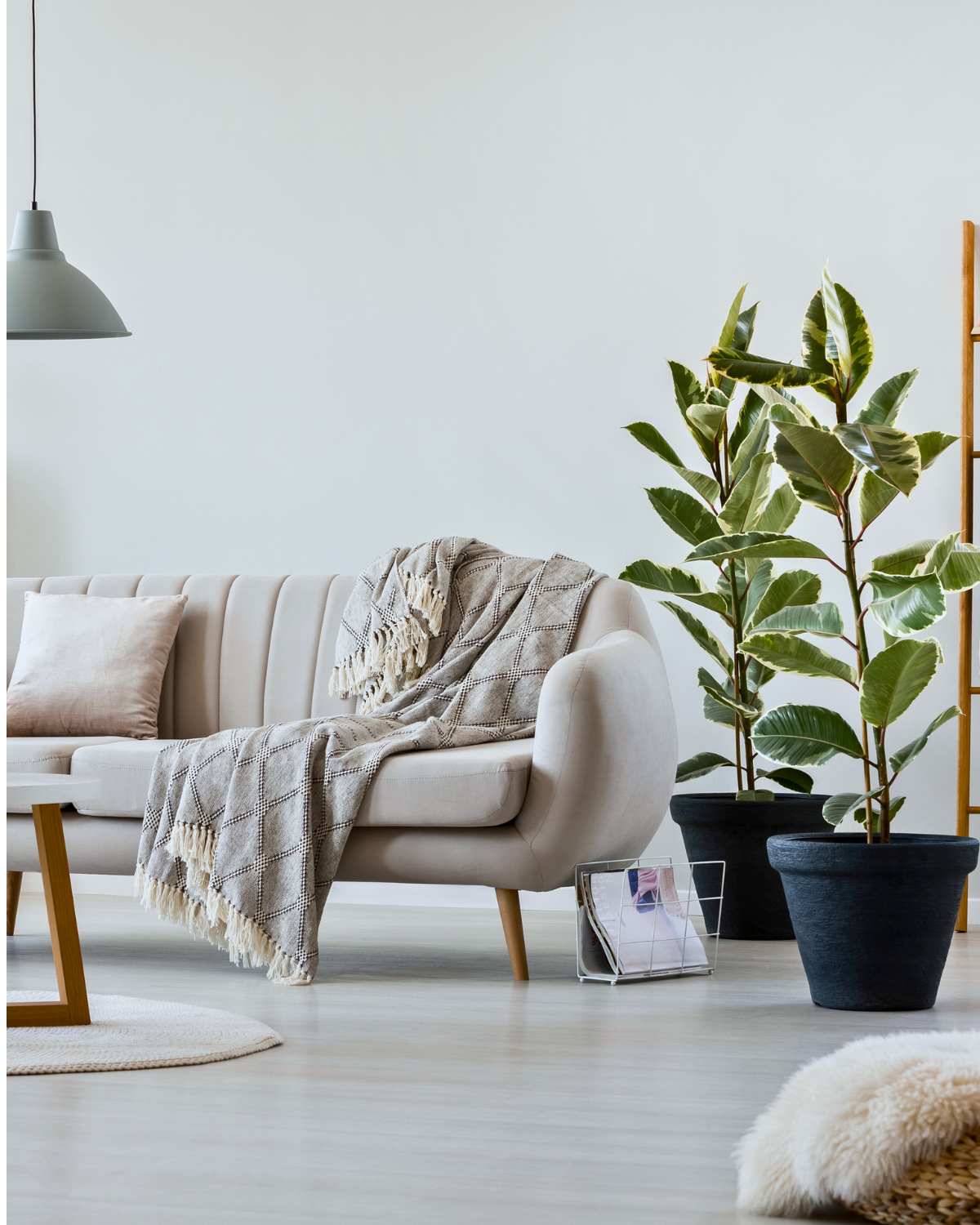 Motifs et conditions de rupture